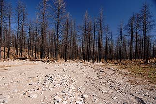 Shulz Pass, Arizona, October 30, 2011